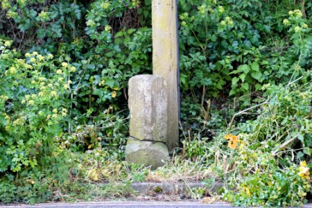Milestone On Main Foad Opposite Milestone Cottage