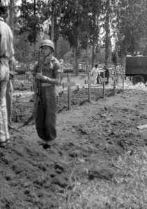 Militaire begrafenis op een begraafplaats, Bestanddeelnr 8234