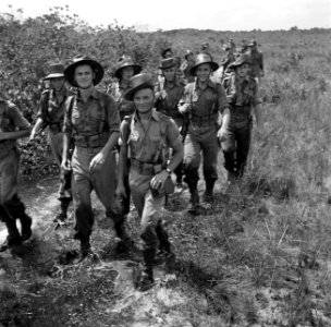 Militaire colonne op een weg in de buurt van Matta in Suriname, Bestanddeelnr 252-6370