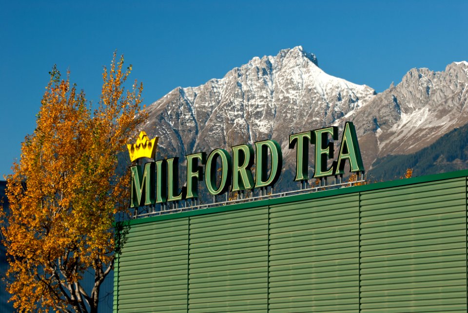 Milford Tea in Hall