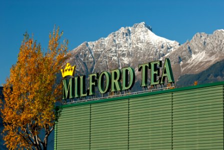 Milford Tea in Hall
