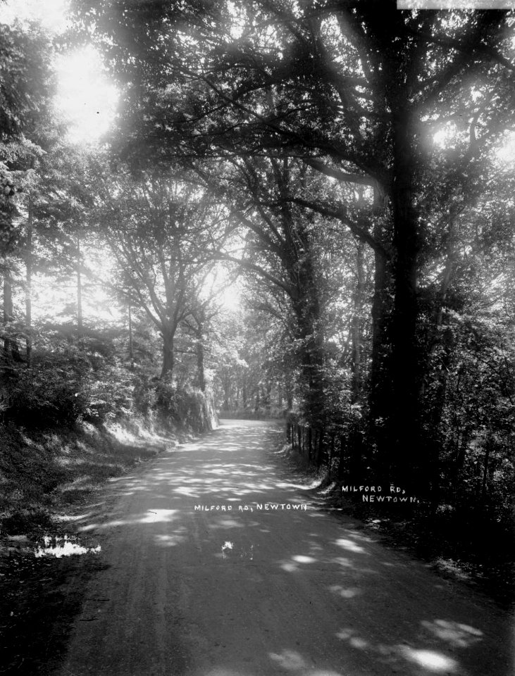 Milford Rd, Newtown (1294176)