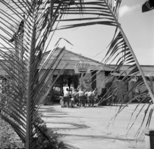 Militair kamp in Savaneta op Aruba, Bestanddeelnr 252-7994
