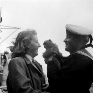 Mijnenlegger Hr. Ms. Willem van der Zaan terug in Den Helder, Bestanddeelnr 902-8254