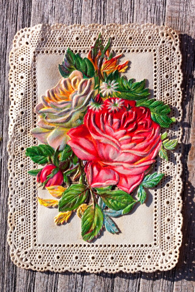 Bouquet rose old
