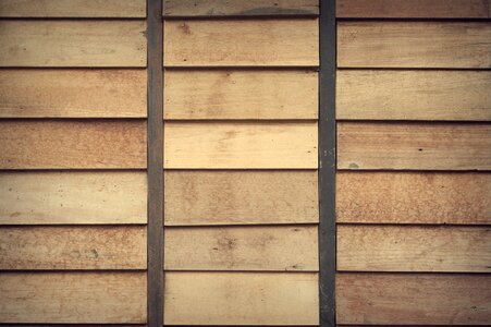 Softwood timber wood photo