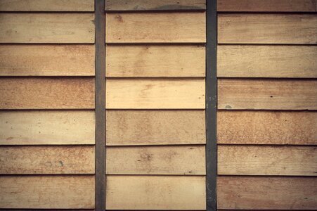 Softwood timber wood
