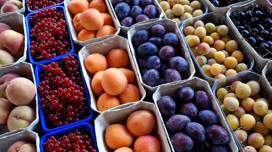 Pome fruit healthy stone fruit