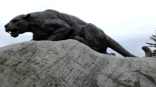 Middlebury campus 14
