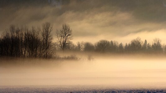Wonderland cold frost photo