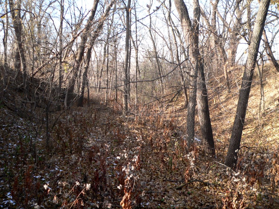 Military Road wagon track (Omaha) (3)
