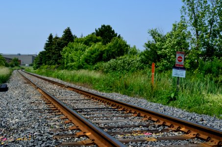 MidlandFinchRailTracks
