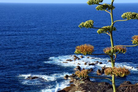 Atlantic tenerife the coast photo