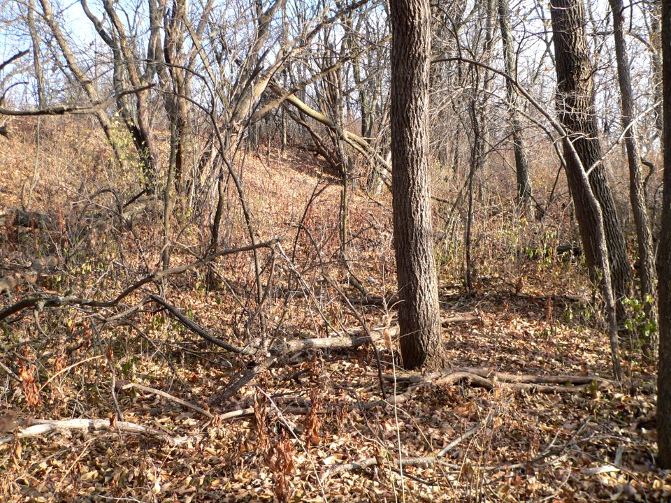 Military Road wagon track (Omaha) (2)