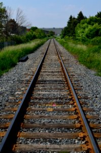 MidlandFinchRailTracks2