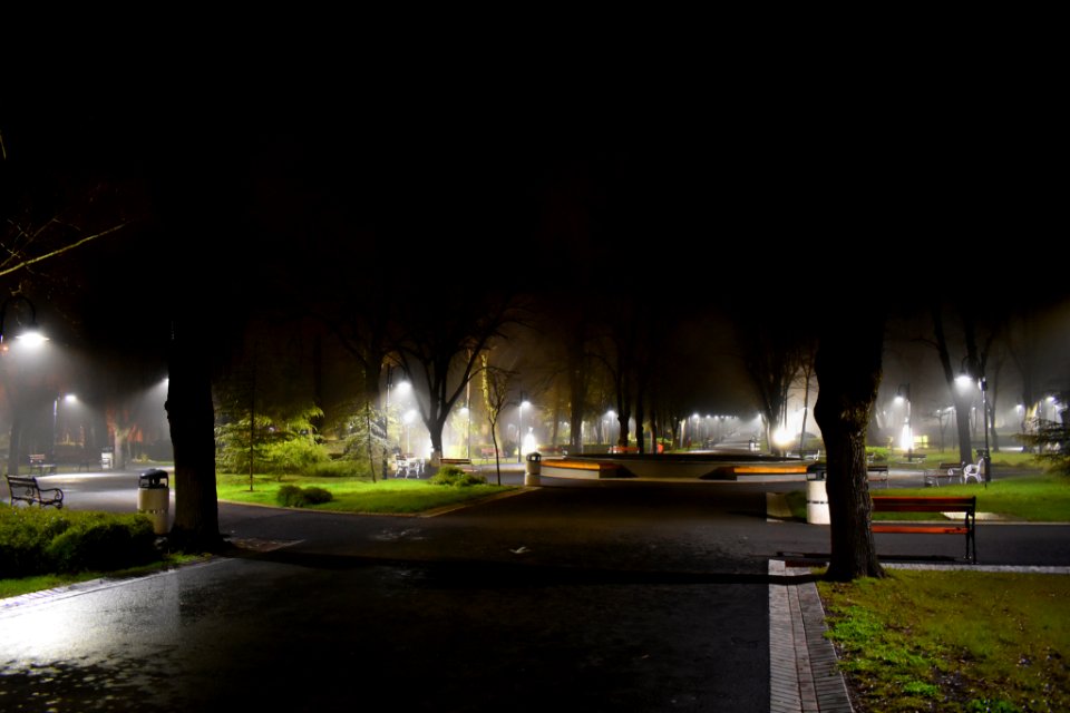 Midnight Fog (256488025)