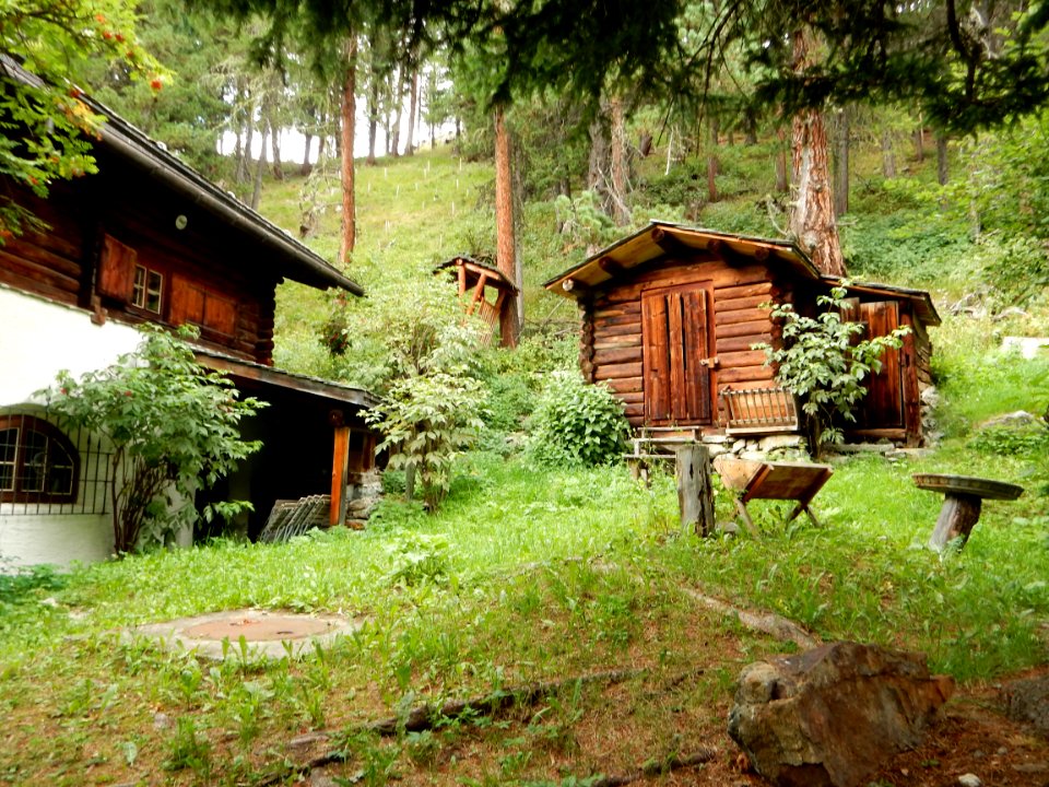 Mili-Weber-Haus Tierfutterplätze
