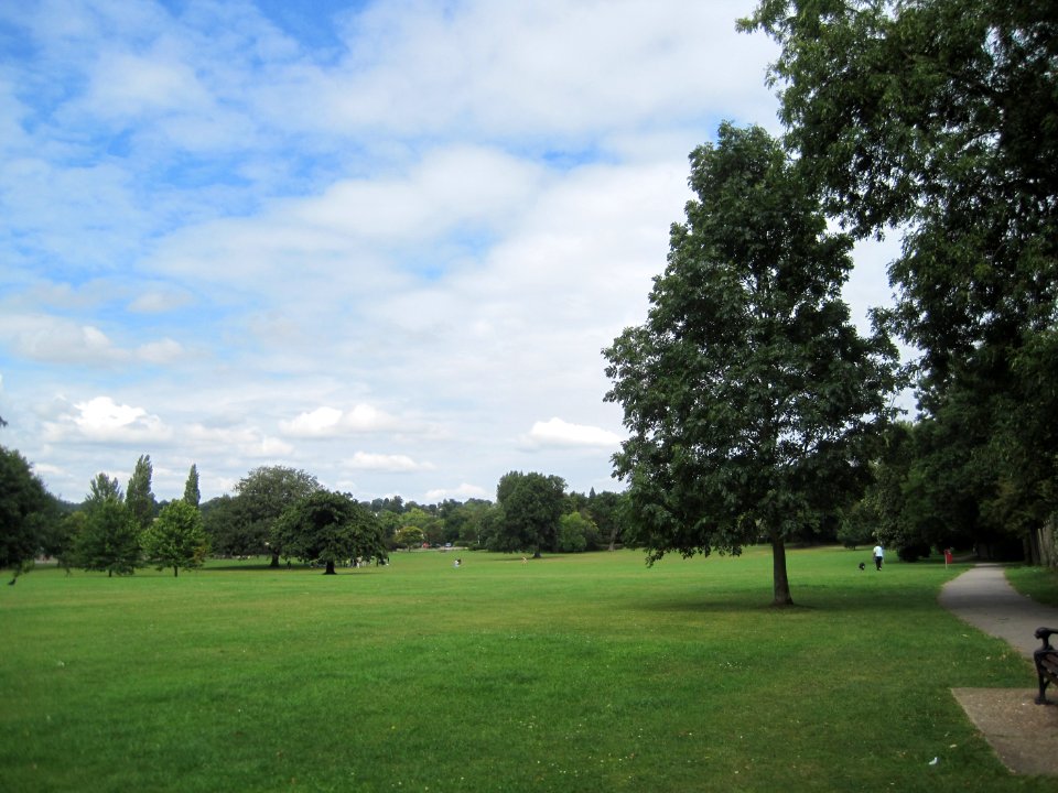 Mill Hill Park grass and trees