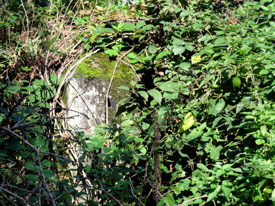 Mill Rijksmonument 525596 overwoekerde B-Kazemat 527 achter wal langs Defensiekanaal