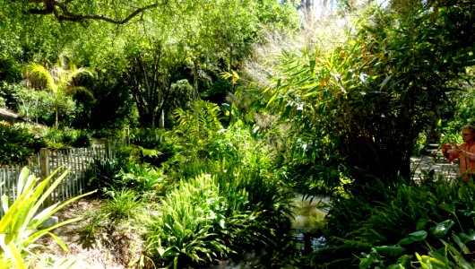Mildred E. Mathias Botanical Garden - University of California, Los Angeles - DSC02993