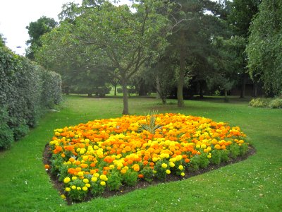 Mill Hill Park flowerbed 2