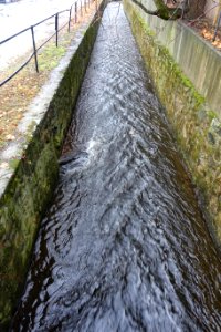 Mill Brook - Arlington, MA - DSC03318