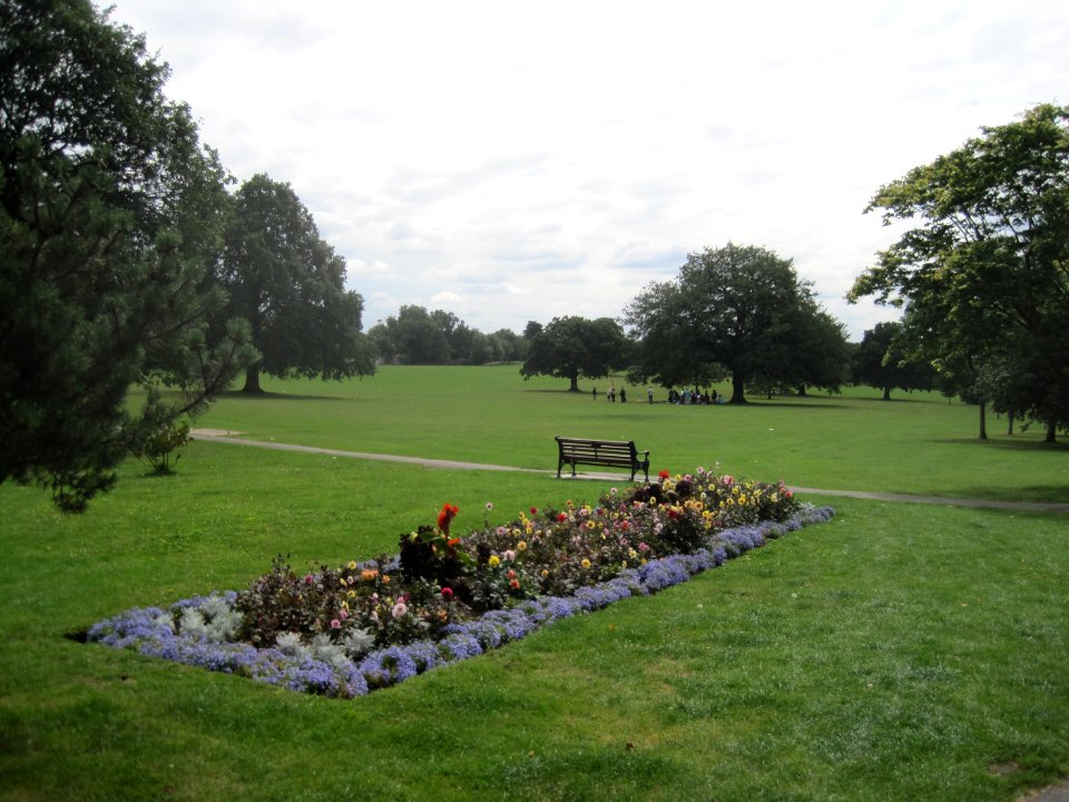 Mill Hill Park flower bed