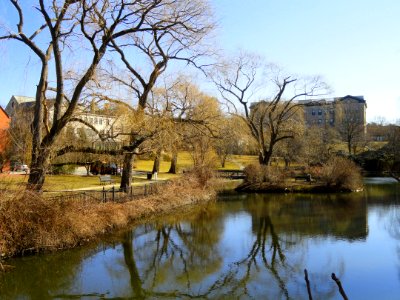 Mill Pond - Winchester, MA - DSC04170
