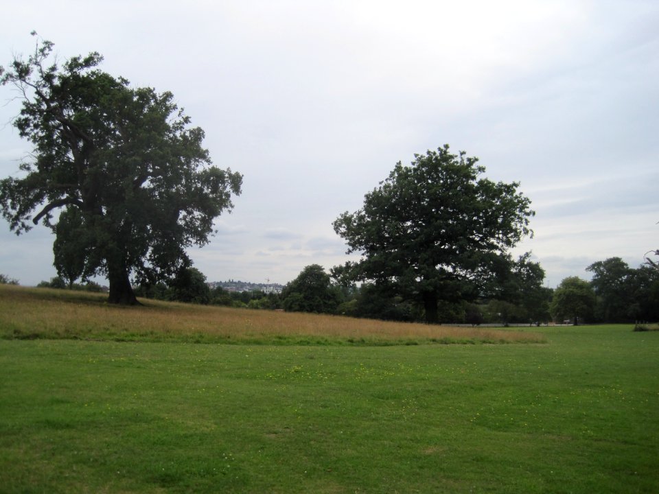 Mill Hill Park west view