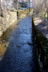 Mill Brook - Arlington, MA - DSC09018