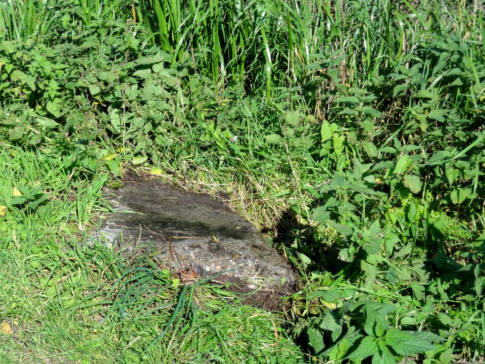 Mill Rijksmonument 525619 restant G-Kazemat 546 langs Defensiekanaal