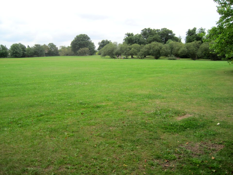 Mill Hill Park grassland