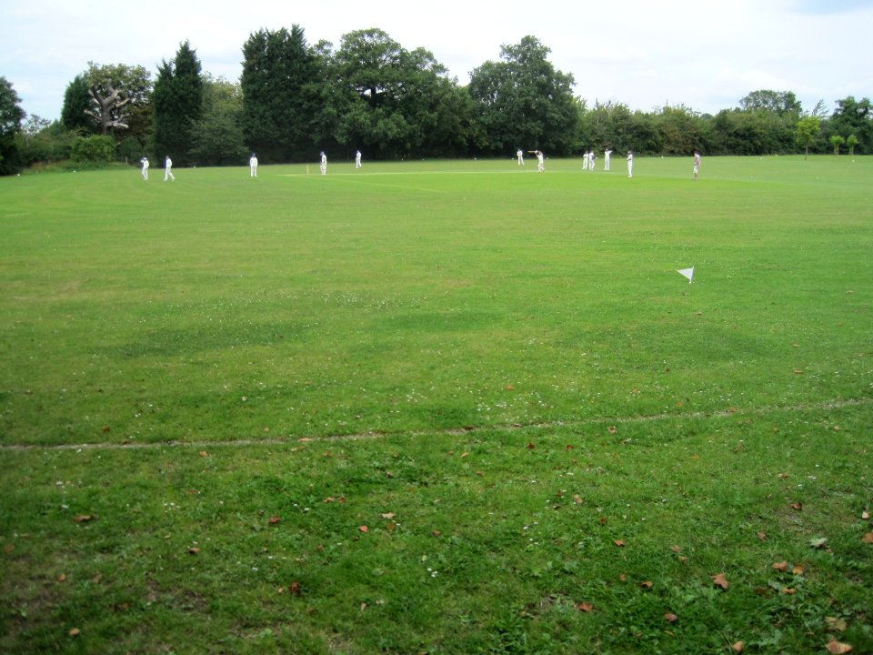Mill Hill Park cricket match