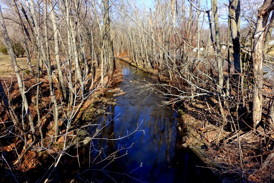 Mill Brook - Mt. Pleasant Cemetery - Arlington, MA - DSC08623