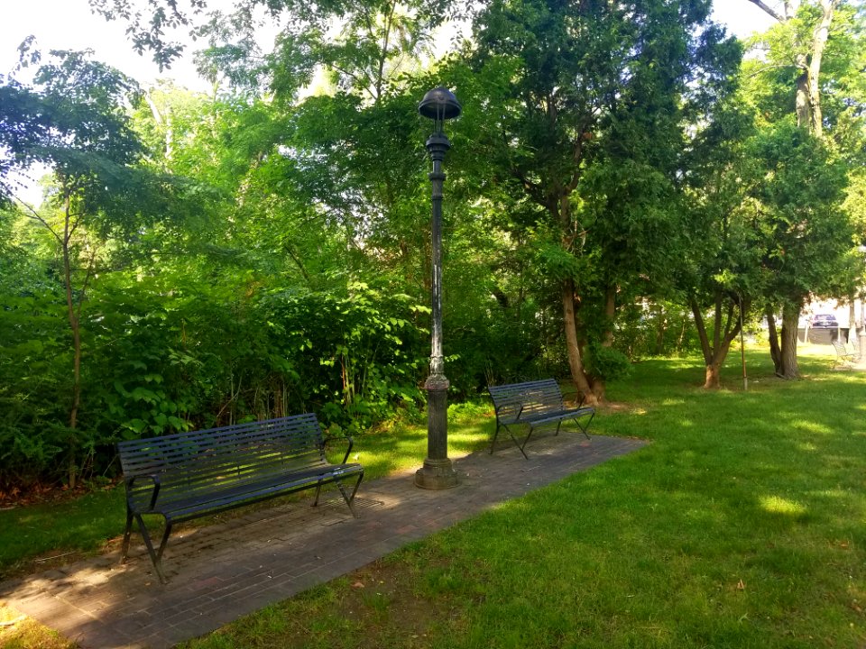 Mill Brook Drive - Arlington, MA - 20200707 090538