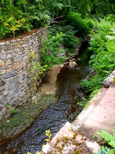 Mill Brook - Arlington, MA - 20200816 084938