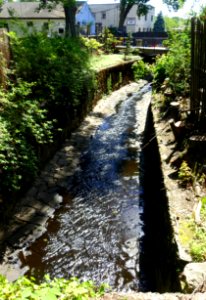Mill Brook - Arlington, MA - DSC02437