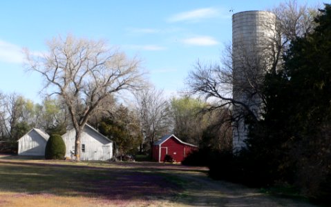 Miller homestead (Rush Co KS), silo and buildings from S 1