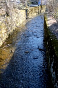 Mill Brook - Arlington, MA - DSC09020