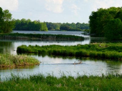 Miller Dam Flowage with Canada Geese photo