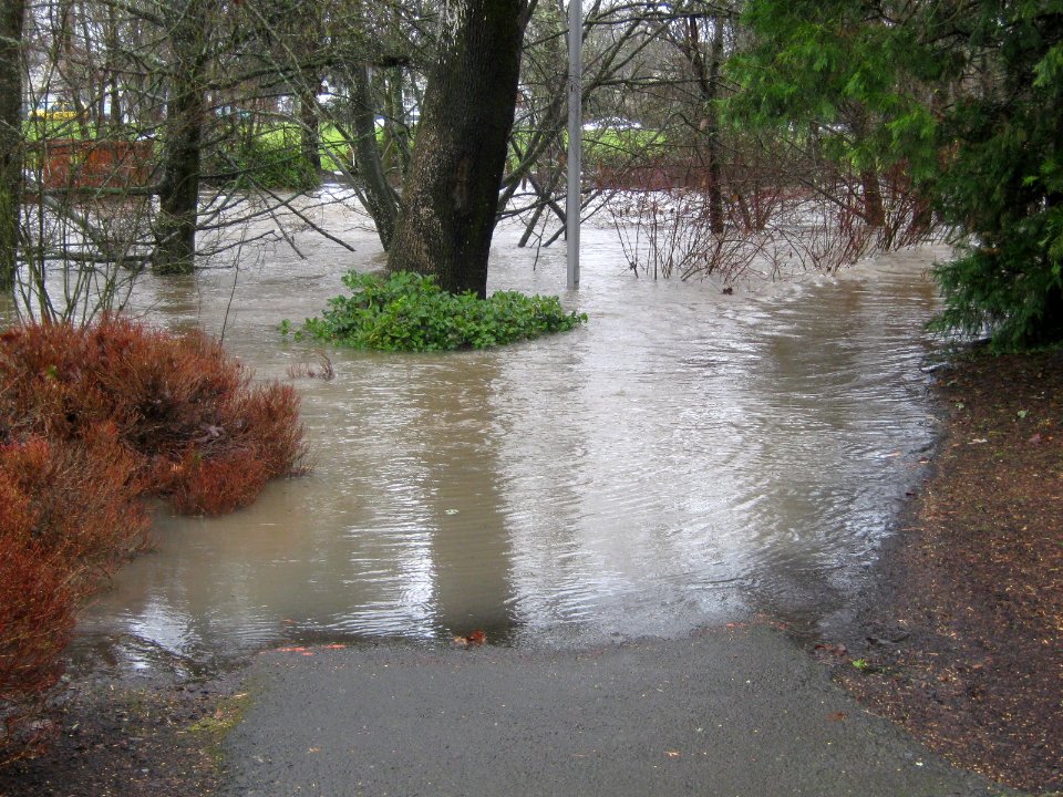 MillCreekOverFloodStage