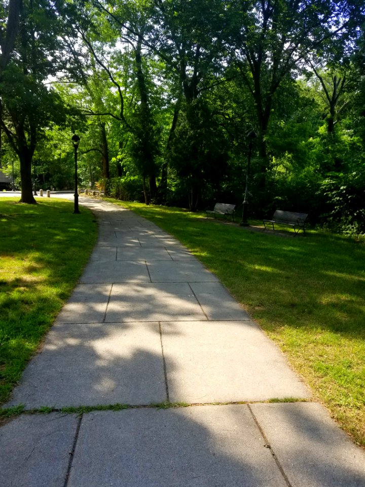Mill Brook Drive - Arlington, MA - 20200707 090719
