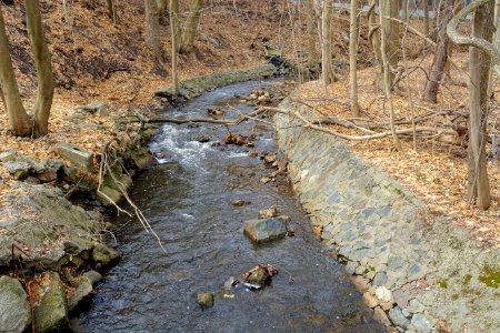 Mill Brook - Wellington Park - Arlington, MA - DSC05679