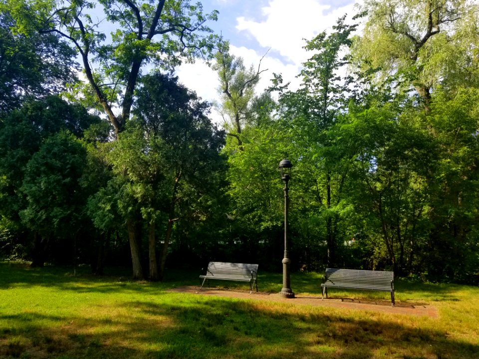 Mill Brook Drive - Arlington, MA - 20200707 090623