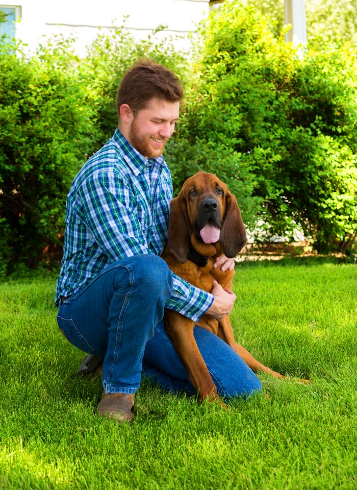 Dog together happiness