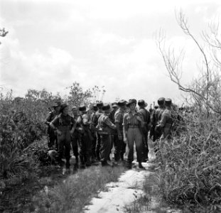 Militaire colonne op een weg in de buurt van Matta in Suriname, Bestanddeelnr 252-6371