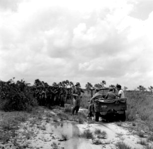 Militaire colonne op een weg in de buurt van Matta in Suriname, Bestanddeelnr 252-6369