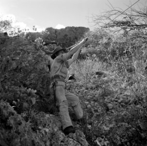 Militair op patrouille op Curaçao, Bestanddeelnr 252-7626