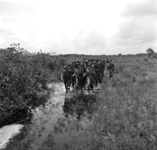 Militaire colonne op een weg in de buurt van Matta in Suriname, Bestanddeelnr 252-6373