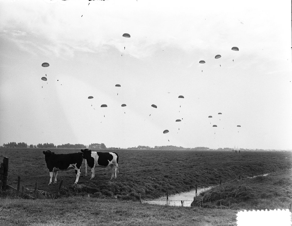 Militaire oefeningen Castricum (parachutisten), Bestanddeelnr 904-8095